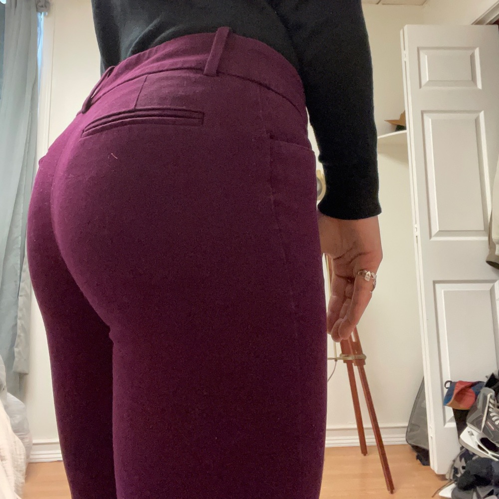 Purple Slacks - Picture 5 of 6